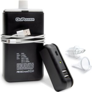GoPong Power Bank Flask